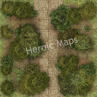 HeroicMaps_ForestRoads_1.jpg