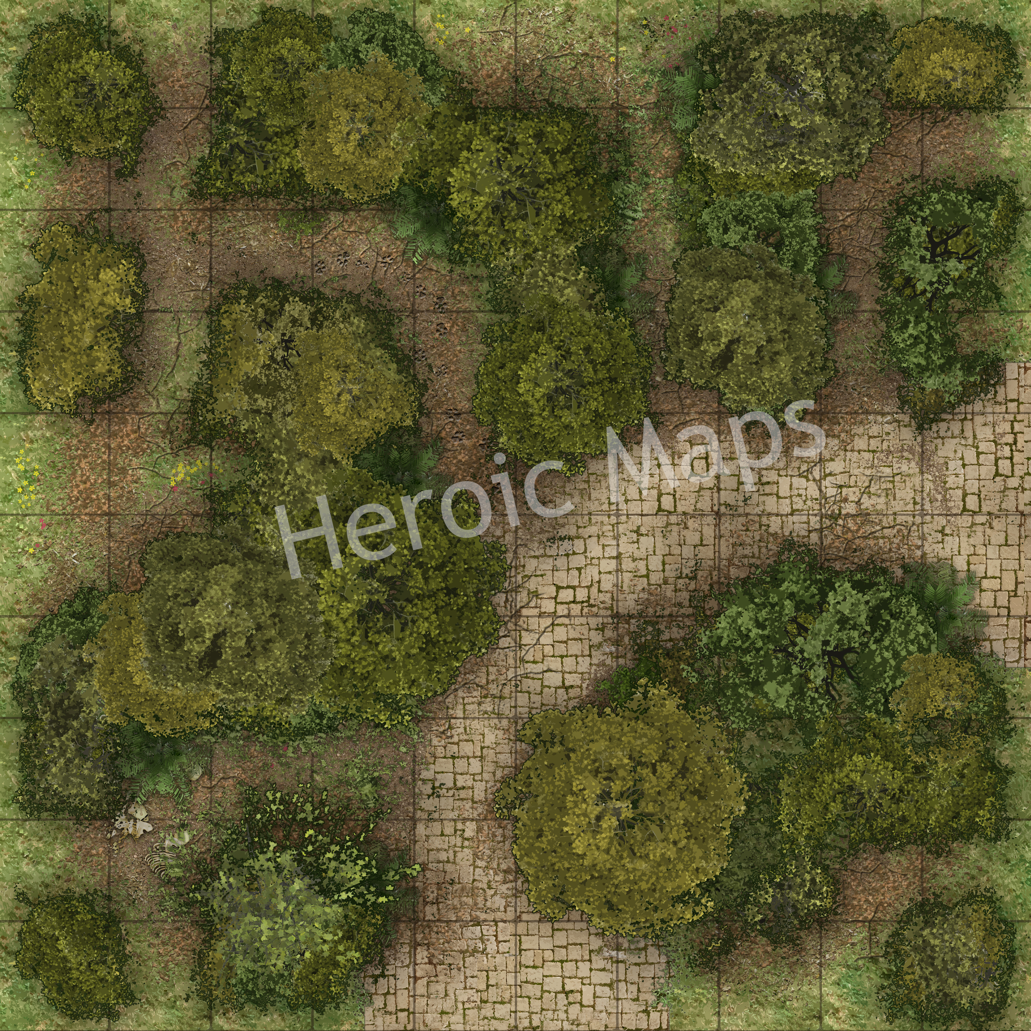 HeroicMaps_ForestRoads_2.jpg