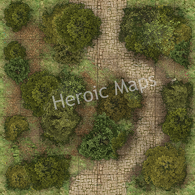 HeroicMaps_ForestRoads_5.jpg